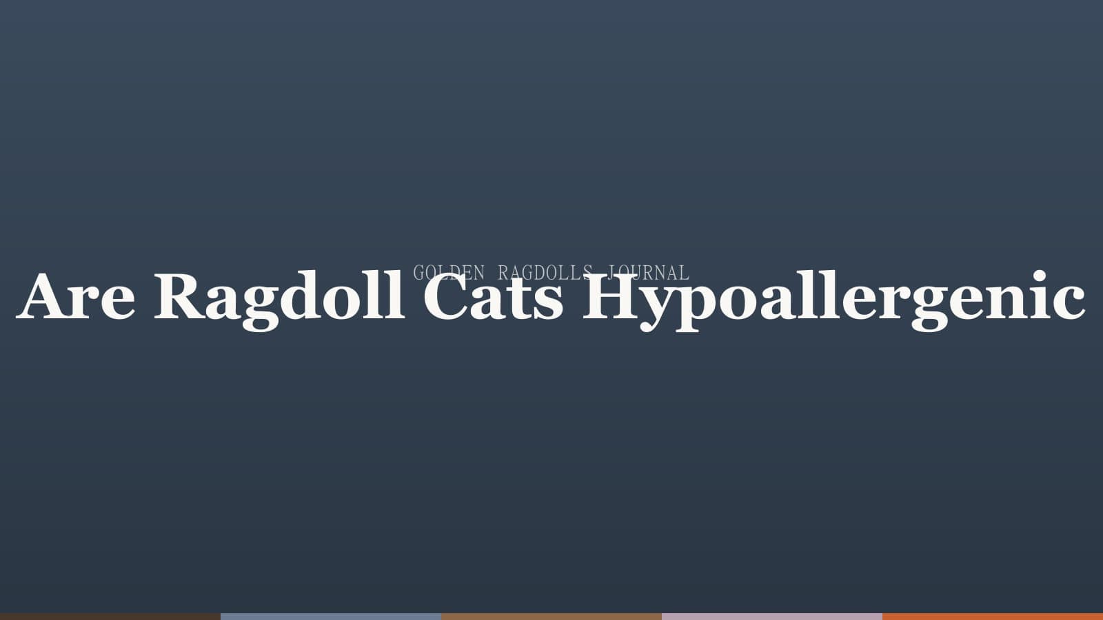Are Ragdoll Cats Hypoallergenic? The Honest Answer