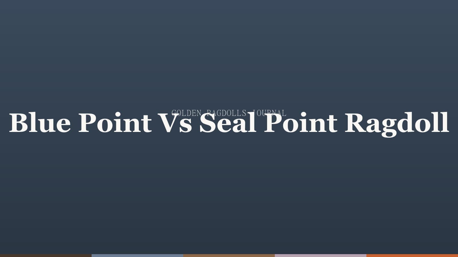 Blue Point vs Seal Point Ragdoll: What's the Difference?