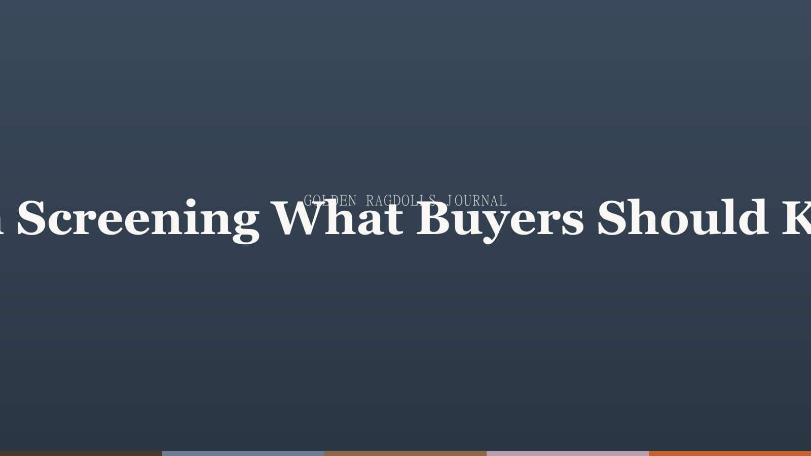HCM in Ragdoll Cats: What Every Buyer Should Know