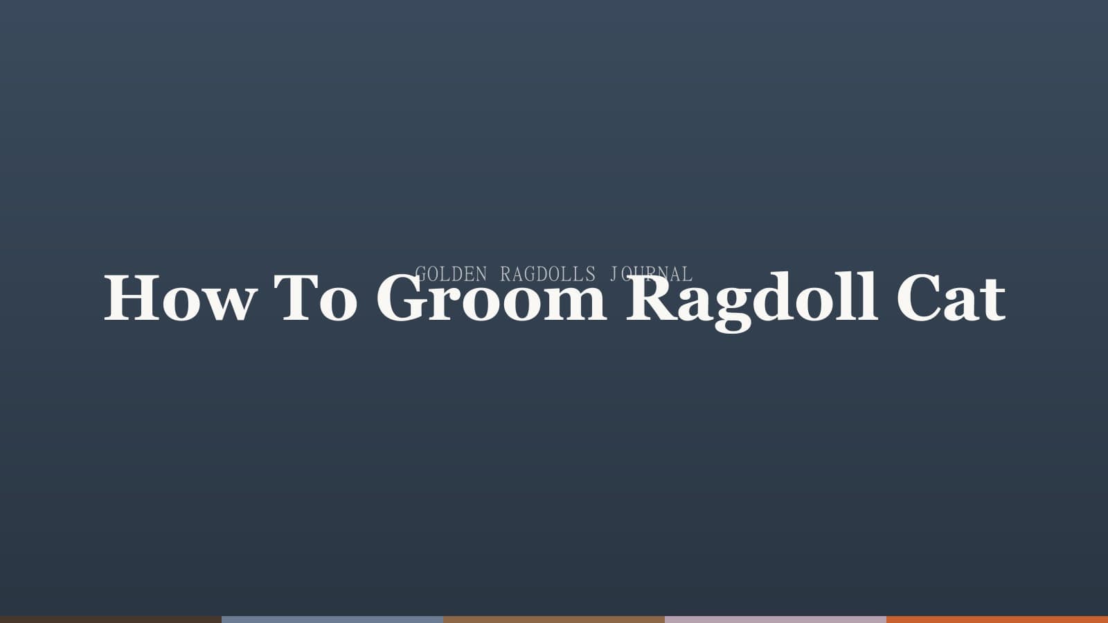 How to Groom a Ragdoll Cat (Without the Drama)