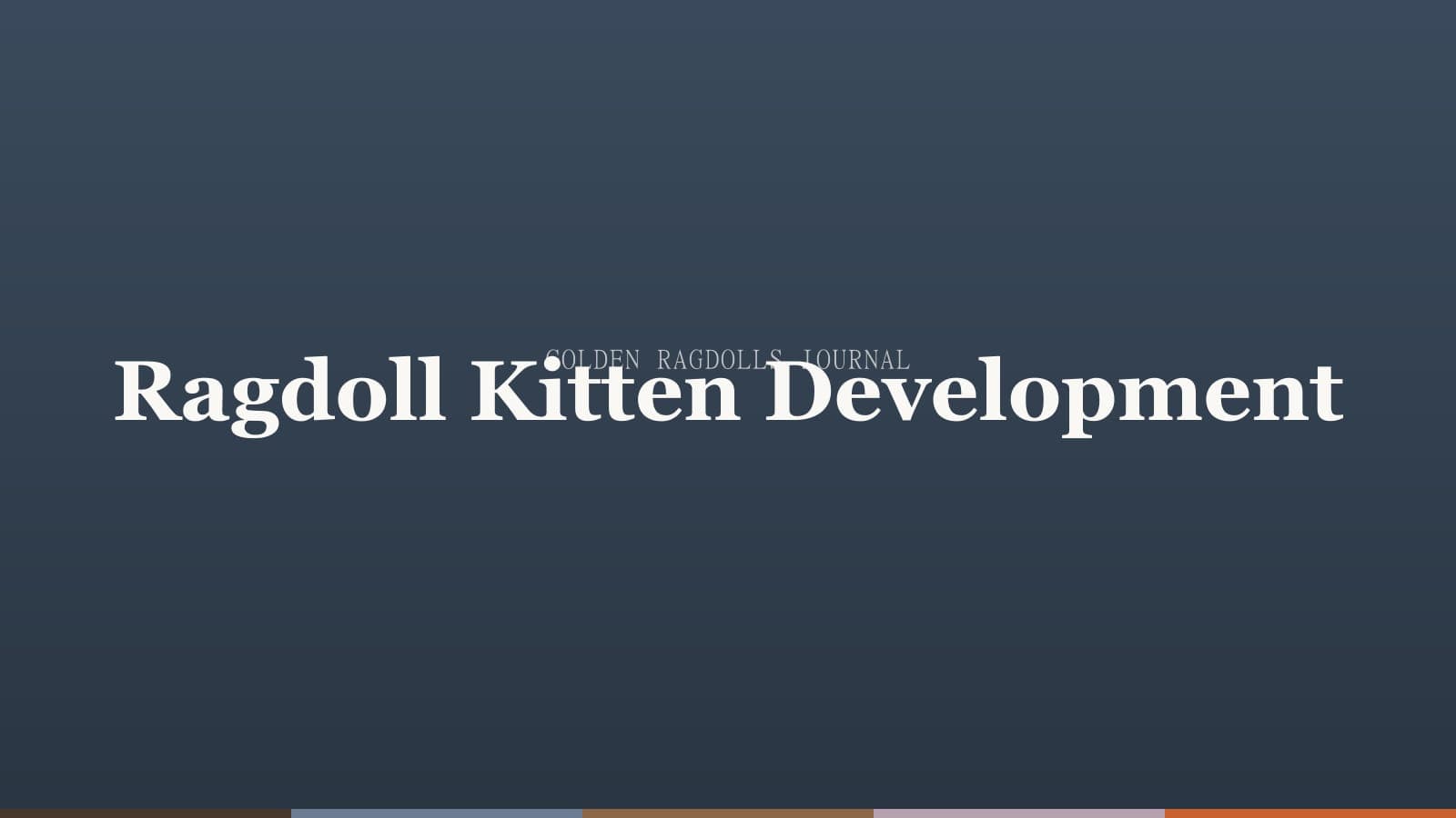 Ragdoll Kitten Development: Week by Week Timeline