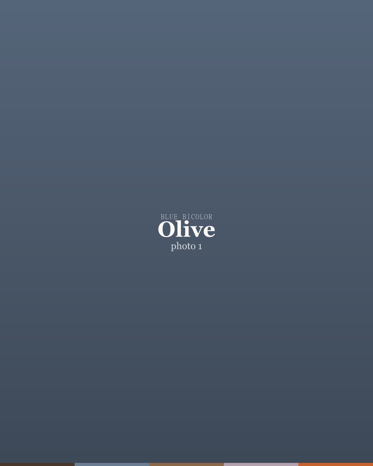 Olive, a blue bicolor ragdoll kitten — photo 1